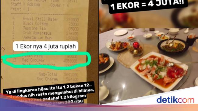 Pengunjung Merasa Dijebak Pesan Ikan Kerapu Rp 4 Juta Per Porsi, Ini Faktanya!