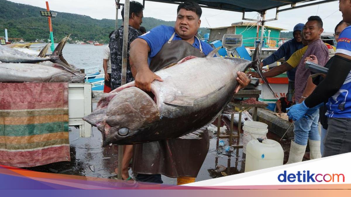 PNBP Perikanan 2024 Capai Rp 955,39 M, KKP: Banyak Pelaku Usaha Sadar
