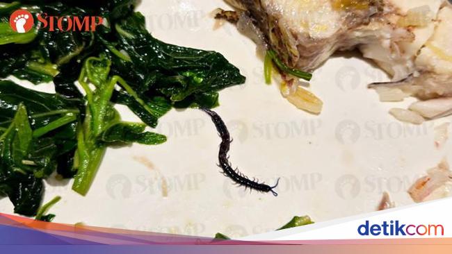 Beli Nasi Ayam Murah, Pembeli Ini Kaget Ada Kelabang Mati di Dalamnya