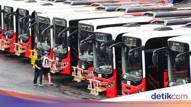 Trans Metro Dewata Bali Bus Stops Operating