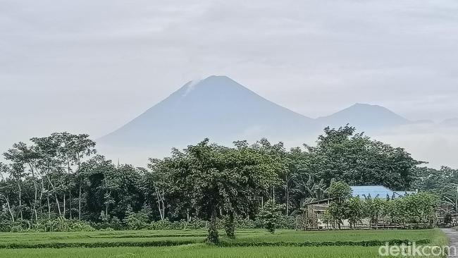 Gunung Semeru Erupsi, Warga Diimbau Waspadai Guguran Awan Panas