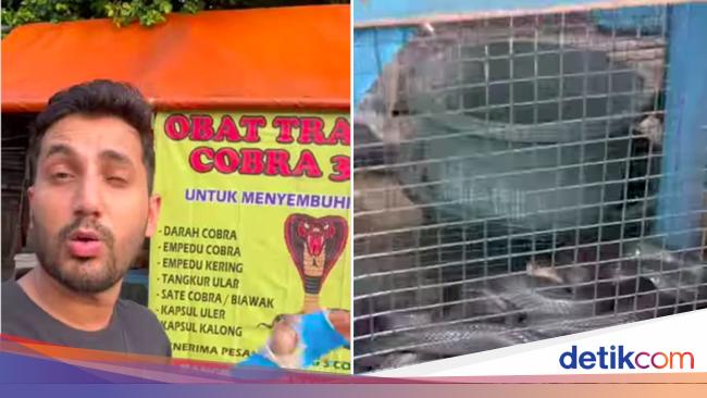 Influencer India Ini Kaget Ada Warung Sate Ular Kobra di Indonesia