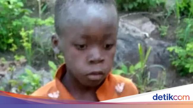 8歳の男の子、ライオンが出没する公園で5日間生き残る