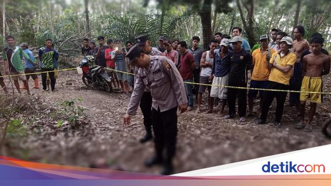 Pria Bernama Mulyono Ditemukan Tewas di Kebun Sumsel, Ada 8 Luka Tusuk