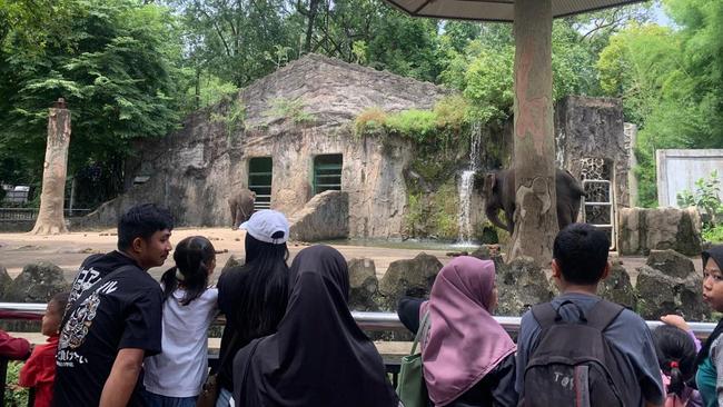 Ragunan Dipadati 36.000 Pengunjung hingga Siang Ini