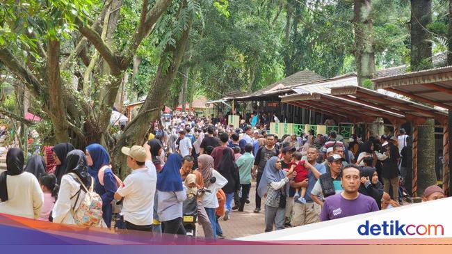 Hari Terakhir Libur Sekolah, Margasatwa Ragunan Diserbu 54.900 Pengunjung