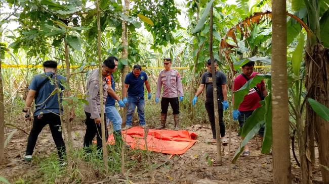 Heboh! Warga Pandeglang Temukan Tulang Belulang Manusia di Kebun