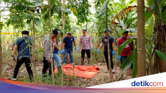 Heboh! Warga Pandeglang Temukan Tulang Belulang Manusia di Kebun