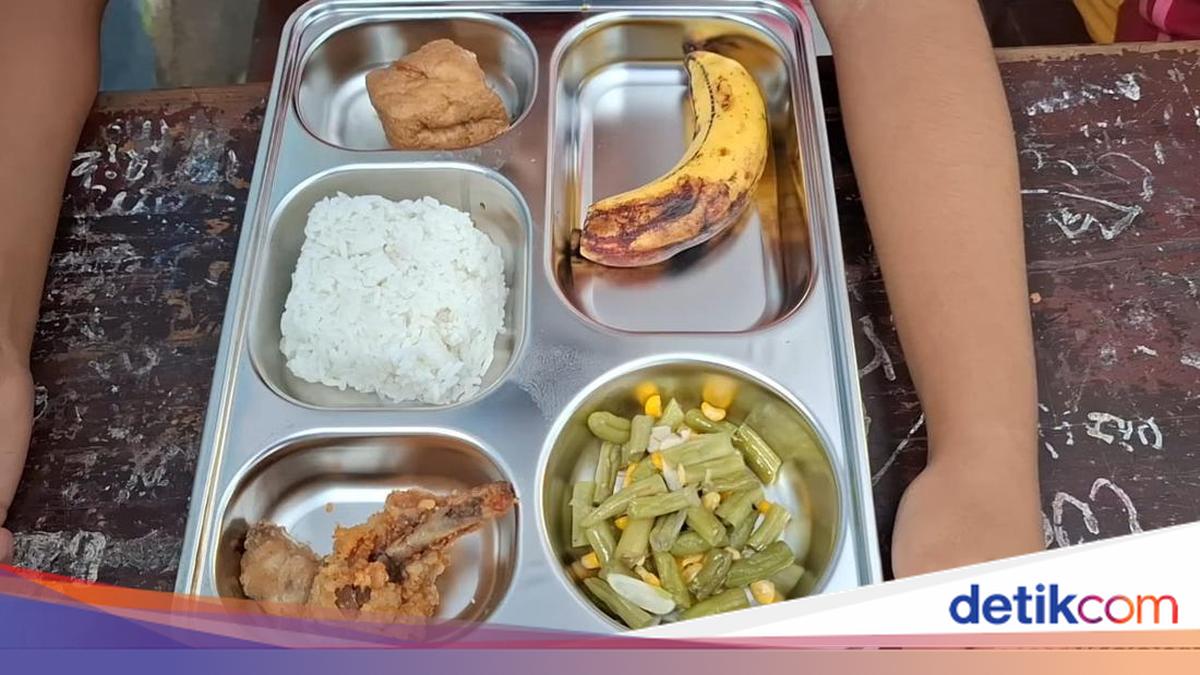 Pakar Nilai Menu Makan Bergizi Gratis: Harusnya Beragam & Seimbang