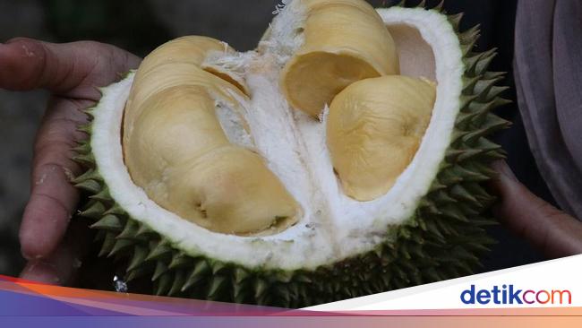 Vietnam Raja Durian, Kalahkan Indonesia dengan Nilai Ekspor Fantastis