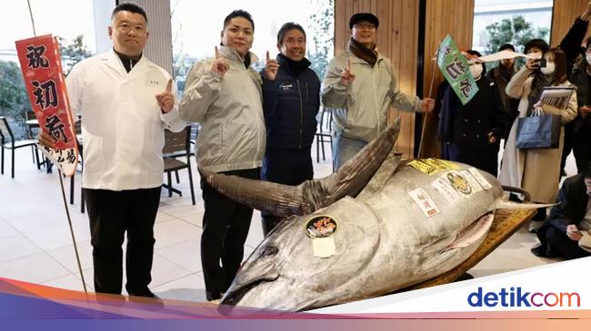 Ikan Tuna Segede Motor hingga Tips Jitu Pilih Durian