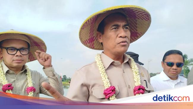 Respons Mentan soal Harga Kelapa Melambung Tinggi: Petani Bahagia!