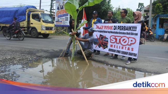 Penampakan Jalan Rusak di Jember Ditanami Pohon Pisang
