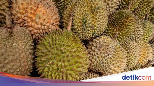 Vietnam Dominates Global Durian Trade with .3 Billion Export Revenue in 2024 Vietnam Dominates Global Durian Trade with .3 Billion Export Revenue in 2024