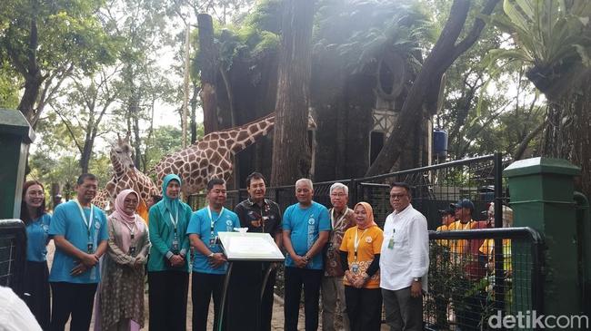 Pj Gubernur Beri Nama Bayi Jerapah di Ragunan Rajaka, Ini Artinya