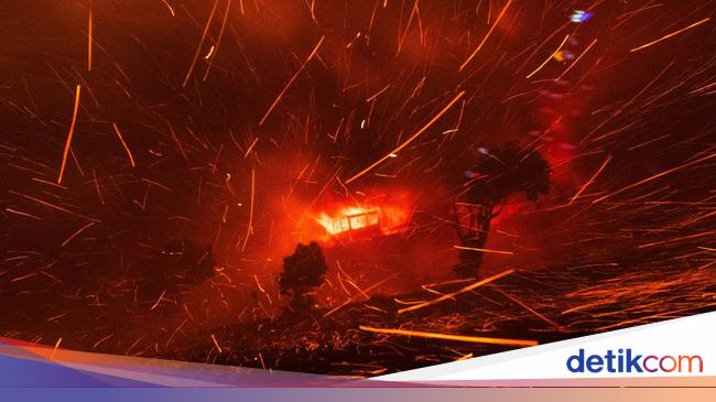 Badai Api Potret Saat Bara Api Kebakaran Hutan Tertiup Angin Kencang