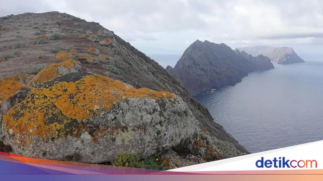 Sebanyak 1.329 Siput Kecil Dilepaskan di Pulau Terpencil Ini, Apa Tujuannya?