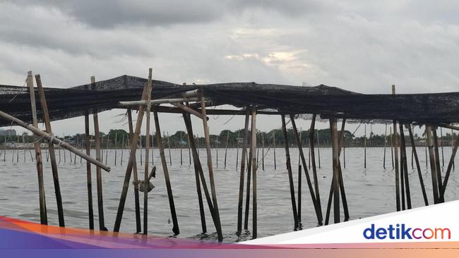 Geger Kelompok Nelayan Ngaku Bikin Pagar 30 Km di Laut Tangerang