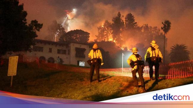 Kebakaran Hutan Makin Sering, Seberapa Terancam Kota Besar?