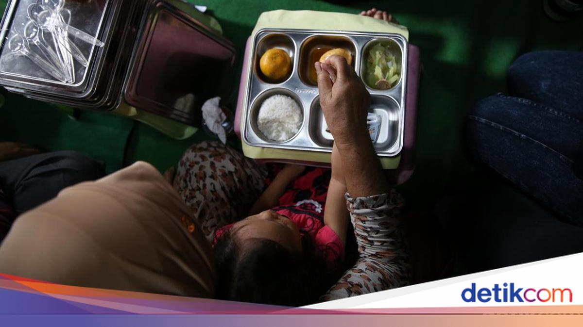 Waka BGN Sebut Opsi Delivery MBG untuk Bumil-Busui, Bukan untuk Siswa Libur