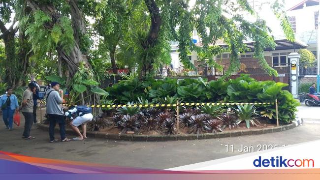 Tren 'Berburu Koin', Tebet Eco Park Dipasang Pembatas Cegah Tanaman Rusak