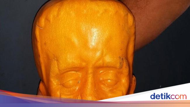 Fakta Ilmiah yang Mencengangkan yang Harus Anda Ketahui Fakta Ilmiah yang Mencengangkan yang Harus Anda Ketahui