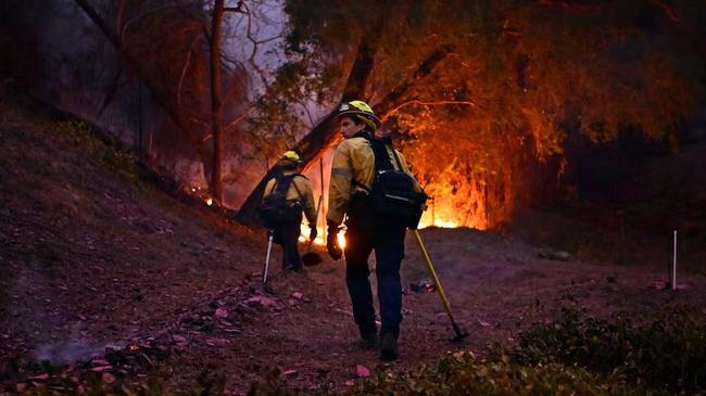 Dunia Hari Ini: Penyelidikan Besar Kebakaran di Los Angeles Diadakan Setelah Ribuan Terdampak