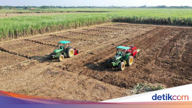 ID Food Siapkan 2.000 Aset Bangunan-Tanah buat Swasembada Pangan