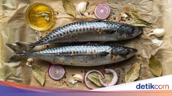 5 Jenis Ikan yang Banyak Nutrisi tapi Harganya Murah