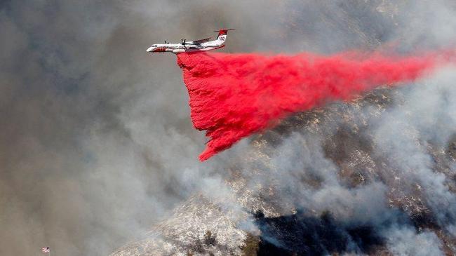 Los Angeles Diselimuti Bubuk Pink-Merah, Apa Itu?