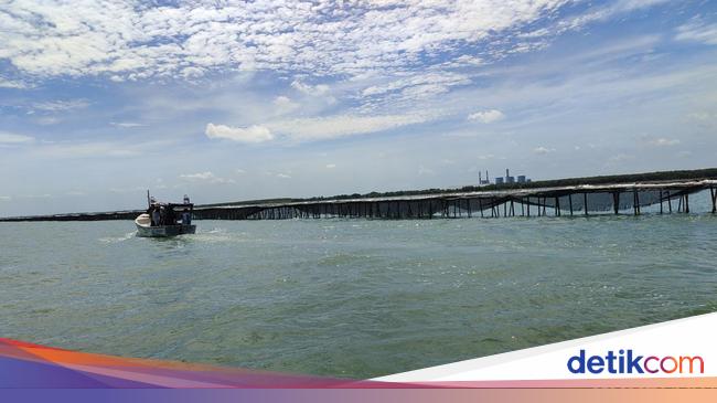 Muzani Ungkap Prabowo Perintahkan Pagar Laut di Tangerang Dibongkar-Diusut