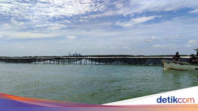 Pagar Laut Tangerang Dibongkar, Simak Alasan Presiden PrabowoIngin Pagar Laut Disegel