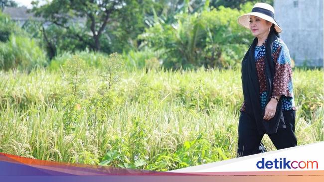 Titiek Soeharto Minta Bulog Serap Gabah Petani Seharga Rp 6.500