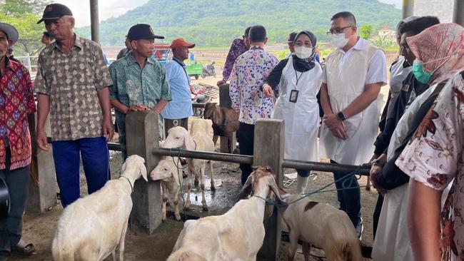 DPRD Jatim Minta Pemerintah Pusat Tingkatkan Status PMK