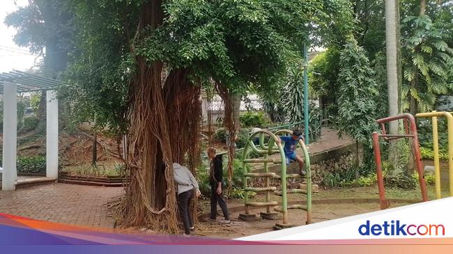 Komdigi Turun Tangan Gara-gara 'Berburu Koin' Jadi Kontroversi