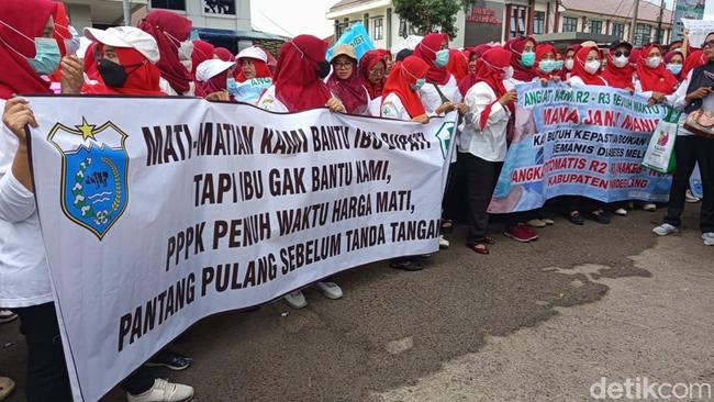 Ratusan Honorer Demo di Kantor Bupati Pandeglang, Tuntut Pengangkatan PPPK