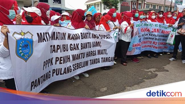 Ratusan Honorer Demo di Kantor Bupati Pandeglang, Tuntut Pengangkatan PPPK