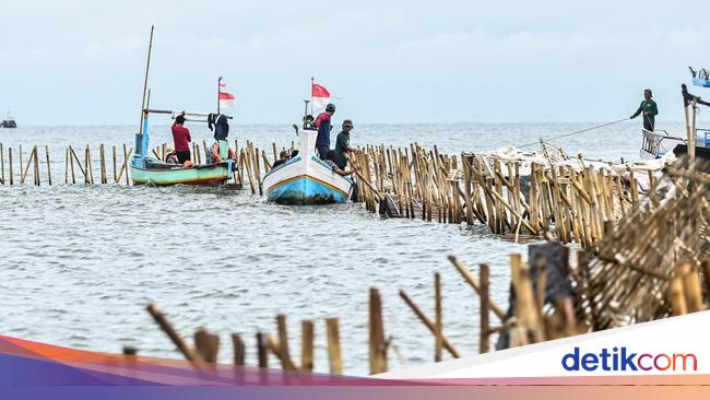 Agung Sedayu Jelaskan HGB di Pagar Laut Tangerang: Dulunya Tambak-Sawah