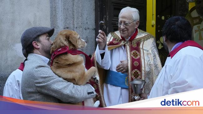 Saat Hewan Peliharaan Antre untuk Diberkati Pada Hari Santo Antonius di Spanyol