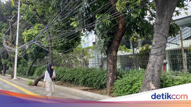 Warga Keluhkan Kabel Menjuntai hingga Trotoar di Jaksel: Bahaya Banget