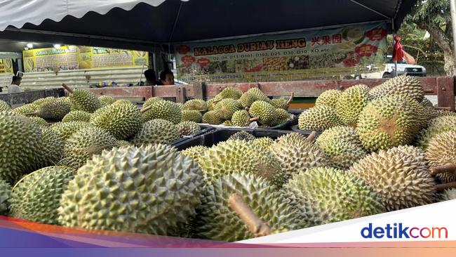 Penjual Ini Dipuji Karena Tidak Getok Harga Durian ke Turis