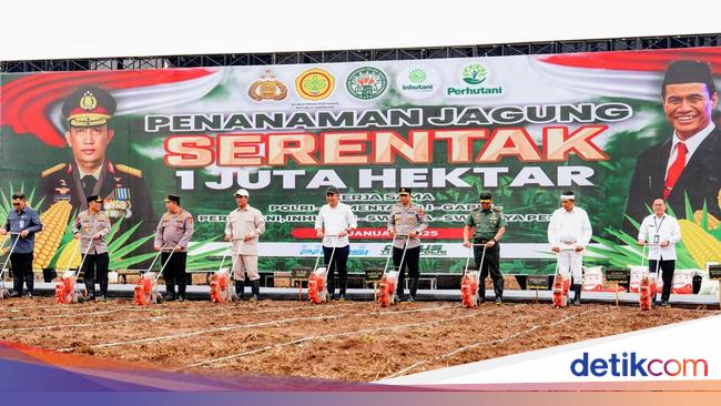 Kapolri dan Mentan Tanam Jagung Serentak 1 Juta Hektar, Dukung Swasembada Pangan 2025