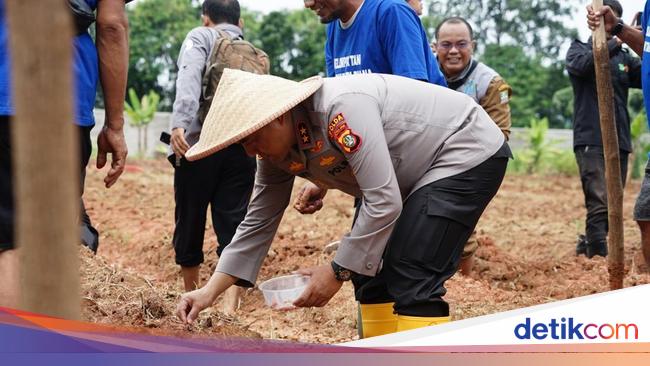 Polda Metro Tanam Jagung Seluas 16,5 Hektare di Bekasi demi Ketahanan Pangan