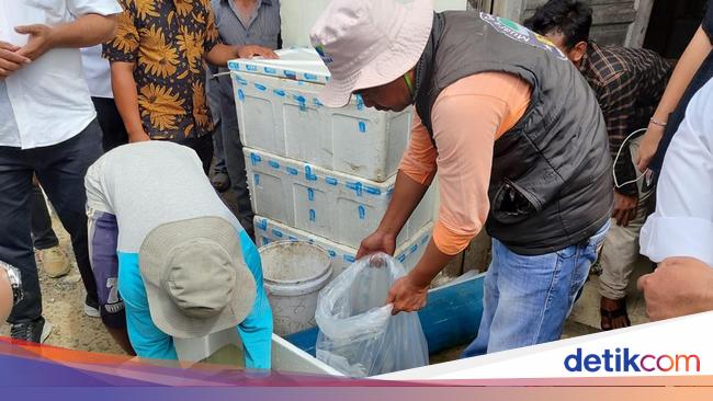 Tawaran Bapak Asuh Mengalir buat Kopdes Merah Putih
