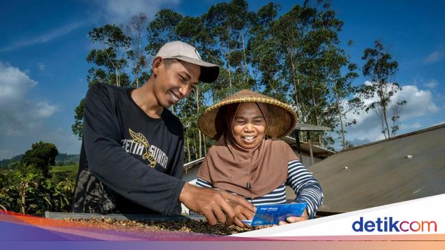 Cara Daftar KUR BRI Online 2025, Bisa Lewat HP!