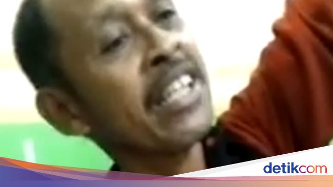 Petani di Sulsel Duel dengan Piton 7 Meter, Ular Mati Ditebas Parang