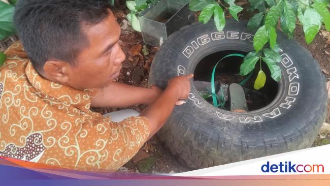 Penyakit yang Bikin Puluhan Warga Tasik Susah Berdiri Ternyata Chikungunya