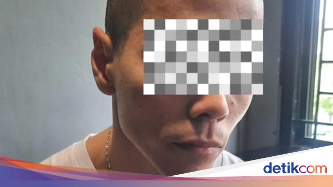 Ditembak dari Jarak Dekat, Kucing Timmy Mati Tertembak Tepat di Kepala