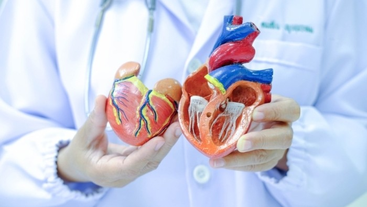 Jangan Kaget, Ternyata Ini Organ Tubuh yang Paling Cepat Menua