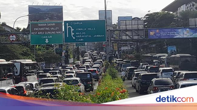 7 Ribu Kendaraan Menuju Puncak Bogor Pagi Ini, Polisi Terapkan One Way